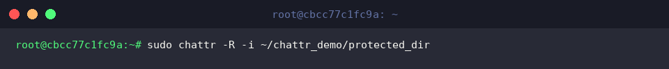 sudo chattr -R -i ~/chattr_demo/protected_dir