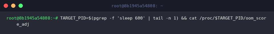 TARGET_PID=$(pgrep -f &lsquo;sleep 600&rsquo; | tail -n 1) && cat /proc/$TARGET_PID/oom_score_adj