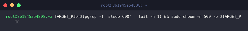TARGET_PID=$(pgrep -f &lsquo;sleep 600&rsquo; | tail -n 1) && sudo choom -n 500 -p $TARGET_PID