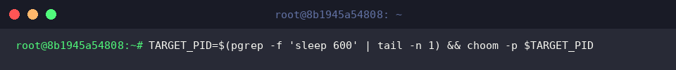 TARGET_PID=$(pgrep -f &lsquo;sleep 600&rsquo; | tail -n 1) && choom -p $TARGET_PID