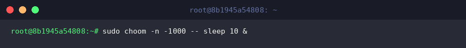 sudo choom -n -1000 &ndash; sleep 10 &