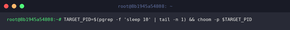 TARGET_PID=$(pgrep -f &lsquo;sleep 10&rsquo; | tail -n 1) && choom -p $TARGET_PID