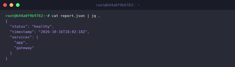 cat report.json | jq .