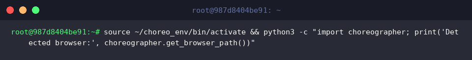 Querying detected browser path using Python API