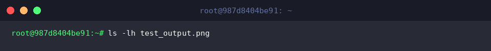 Verifying generated test image file details