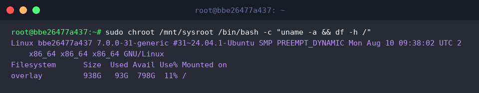 Inspect kernel release and disk utilization in chroot