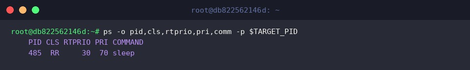Validating the SCHED_RR assignment through ps status fields