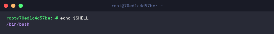 Checking current shell environment