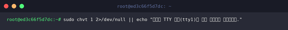 sudo chvt 1 2>/dev/null || echo “지정한 TTY 번호(tty1)로 화면 포커스를 전환합니다.”
