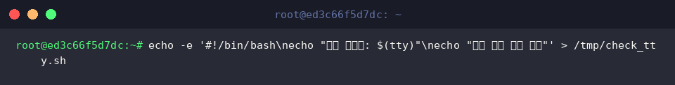 echo -e ‘#!/bin/bash\necho “현재 터미널: $(tty)"\necho “콘솔 복구 준비 완료”’ > /tmp/check_tty.sh