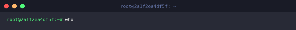 Checking active logged-in users with who
