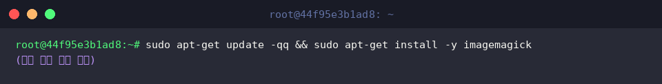 Updating apt repositories and installing imagemagick package
