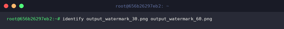 Inspecting watermark image properties