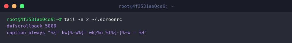 Verify appended configuration parameters in screenrc