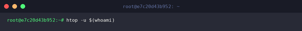 Filtering process list by active system user