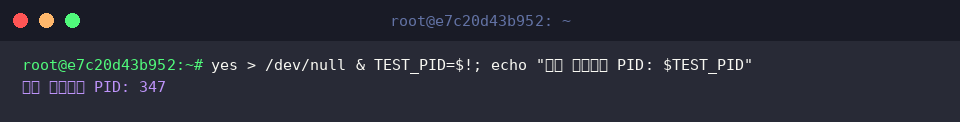 Creating an artificial CPU load and capturing the PID