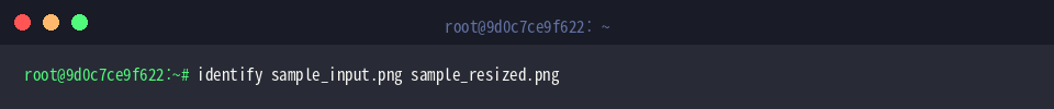 identify sample_input.png sample_resized.png