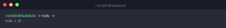 Checking installed ncdu version