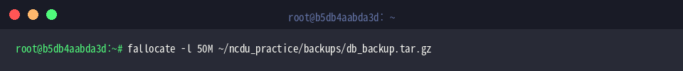 Generating dummy 50MB backup archive