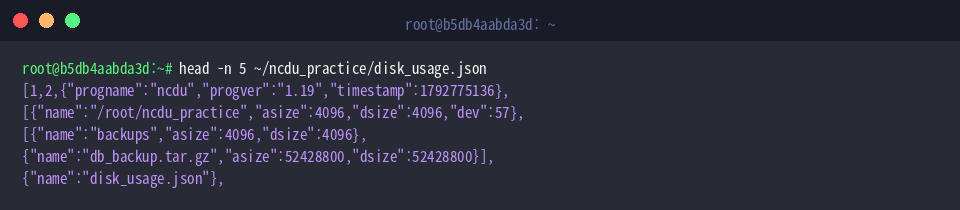Previewing exported JSON metadata header