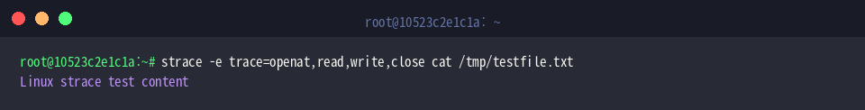 Filtering file I/O syscalls explicitly