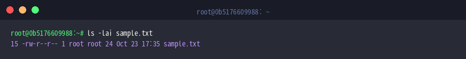 Execute ls with inode flags