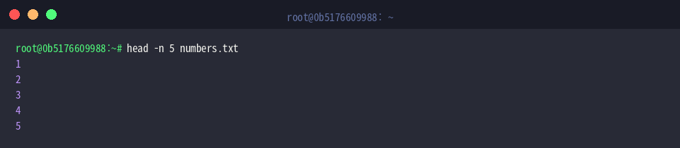 Extract initial lines with head