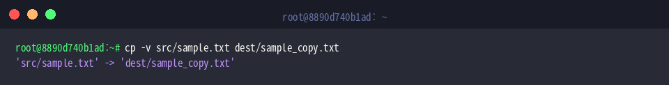 Verbose copy execution