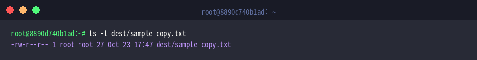 Confirm copied file details