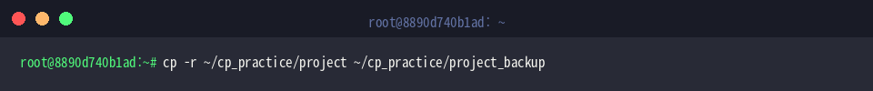 Perform standard recursive directory copy