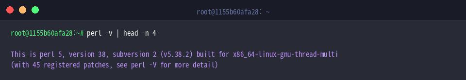 Inspect Perl runtime architecture and release