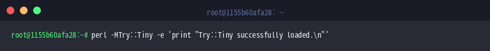 Validate runtime module loading
