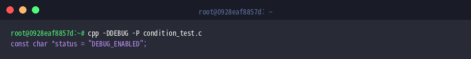 Evaluating code with DEBUG flag passed via -D