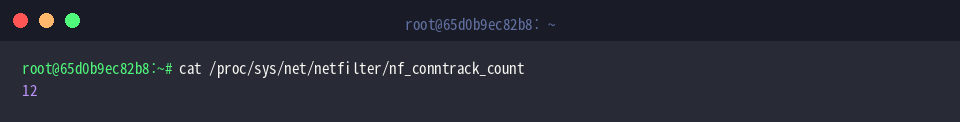Check raw conntrack count in procfs