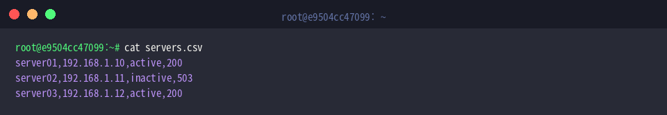 Inspect servers.csv data