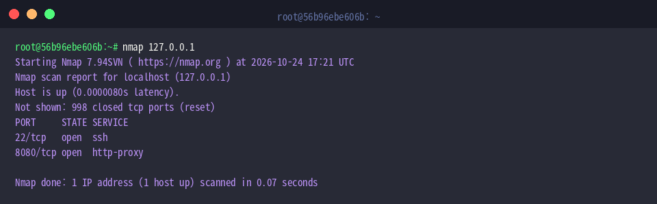 Running baseline Nmap scan against localhost