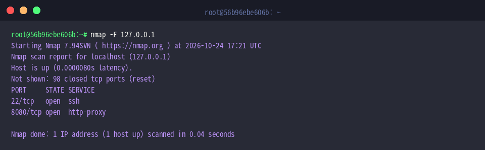 Fast scanning the top 100 ports using the -F flag