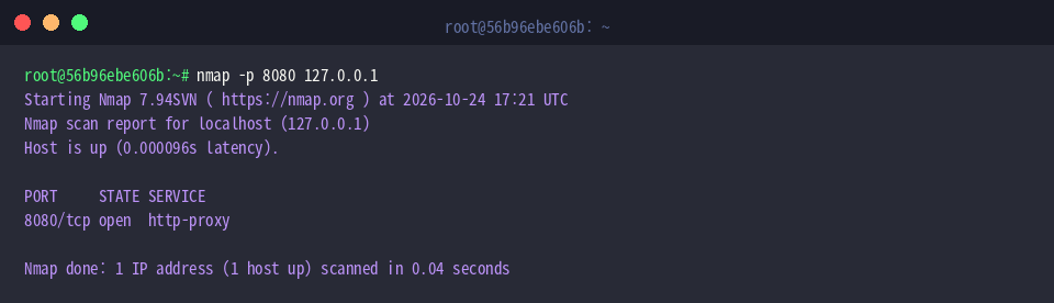 Querying dedicated port 8080 on the loopback target