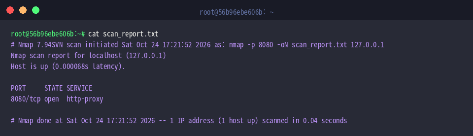 Inspecting generated scan report contents