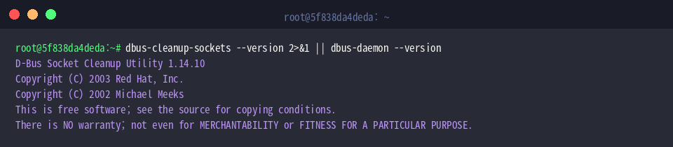 Checking binary version and daemon build details