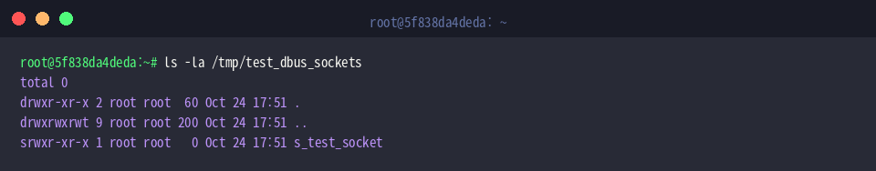 Checking directory contents after socket cleanup execution