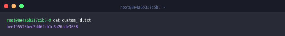 custom_id.txt の中身を確認